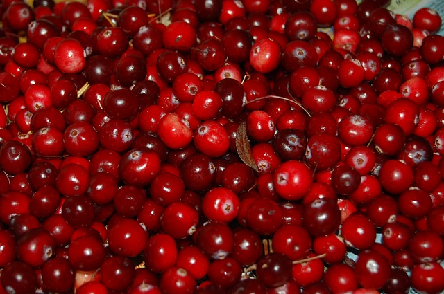 Chcete žiť zdravo? Tak jedzte brusnice aspoň päťkrát za týždeň